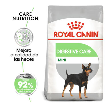 Royal Canin Mini Digestive Care pienso para perros 